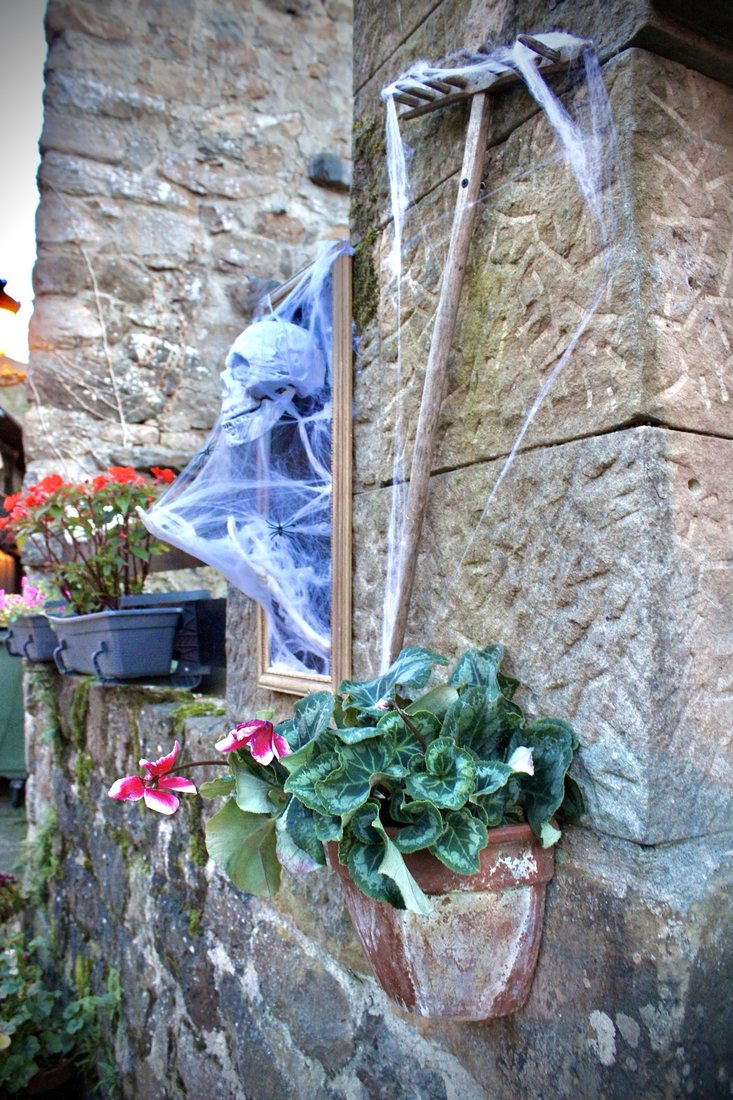Calavera con telarañas en un muro de piedra de Bárcena Mayor, junto a una maceta con flores