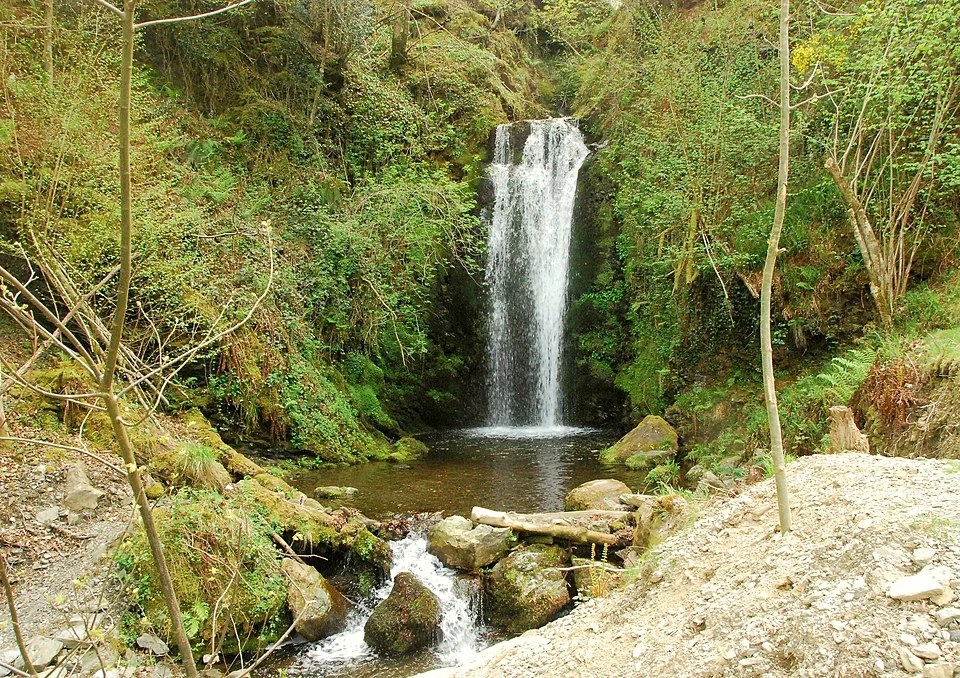 Cascada entre helechos y musgo que cae a una poza en el bosque