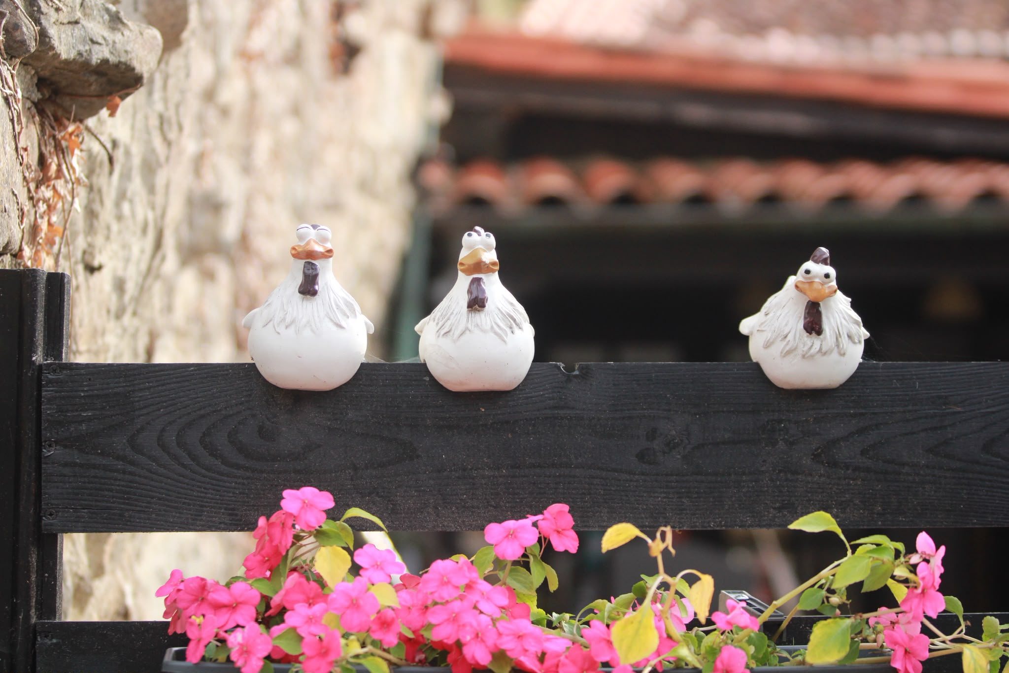 Tres gallinas de cerámica sobre una valla negra con flores rosas